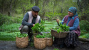 Simple Village Life: Wild Herb Flatbread on Fire