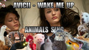 Avicii – Wake Me Up (Animal Cover)
