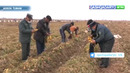 Қашқадарё вилояти ўсимликлар карантини ҳудудий инспекцияси матбуот хизмати