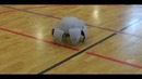 Самый крутой робот в мире