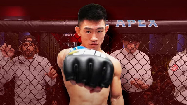 Every Song Yadong Finish In The UFC