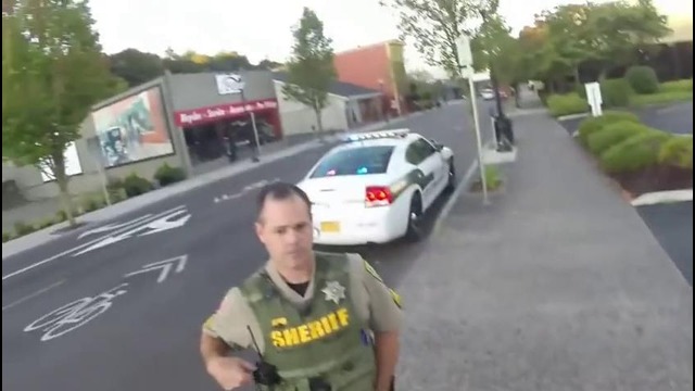 Car Crashes into Cyclist Stop Sign Optional