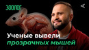 10 глупых вопросов ЗООЛОГУ