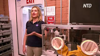 НАСА напечатало дом, в котором люди будут жить на Марсе