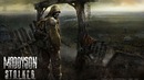 Maddyson | СТАЛКЕР: Тень Чернобыля | STALKER: Shadow of Chernobyl #14