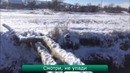 Лучшие ролики недели #124 Когда зовёшь котика