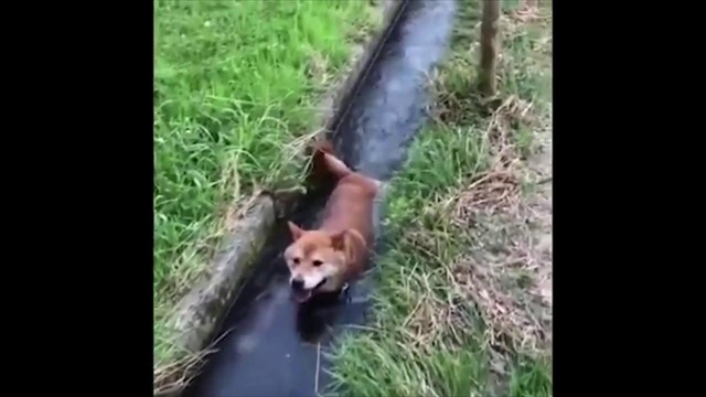 Unusual Memes Compilation v45