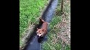 Unusual Memes Compilation v45