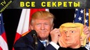 Секретные факты о дональде трампе