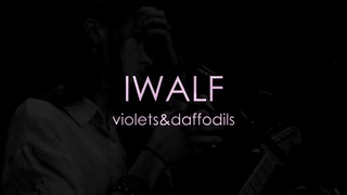 IWALF – Violets & Daffodils (Live)