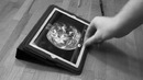 Самый уникальный стилус для iPad