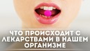 Что происходит с лекарствами в нашем организме DeeaFilm