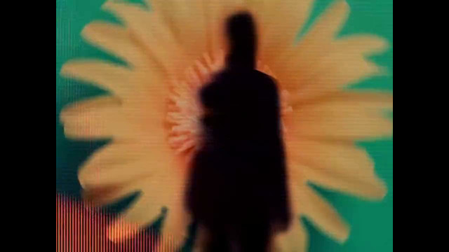 The Night Flight Orchestra – Paloma (Official Video 2025)