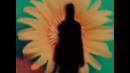 The Night Flight Orchestra – Paloma (Official Video 2025)
