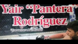 БОЙ: Брайан Ортега VS Яир Родригес на UFC Лонг-Айленд / РАЗБОР БОЯ И ПРОГНОЗ